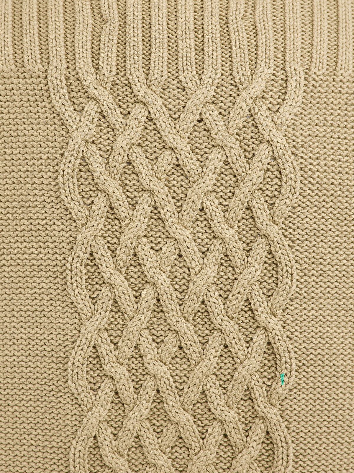 Soybean