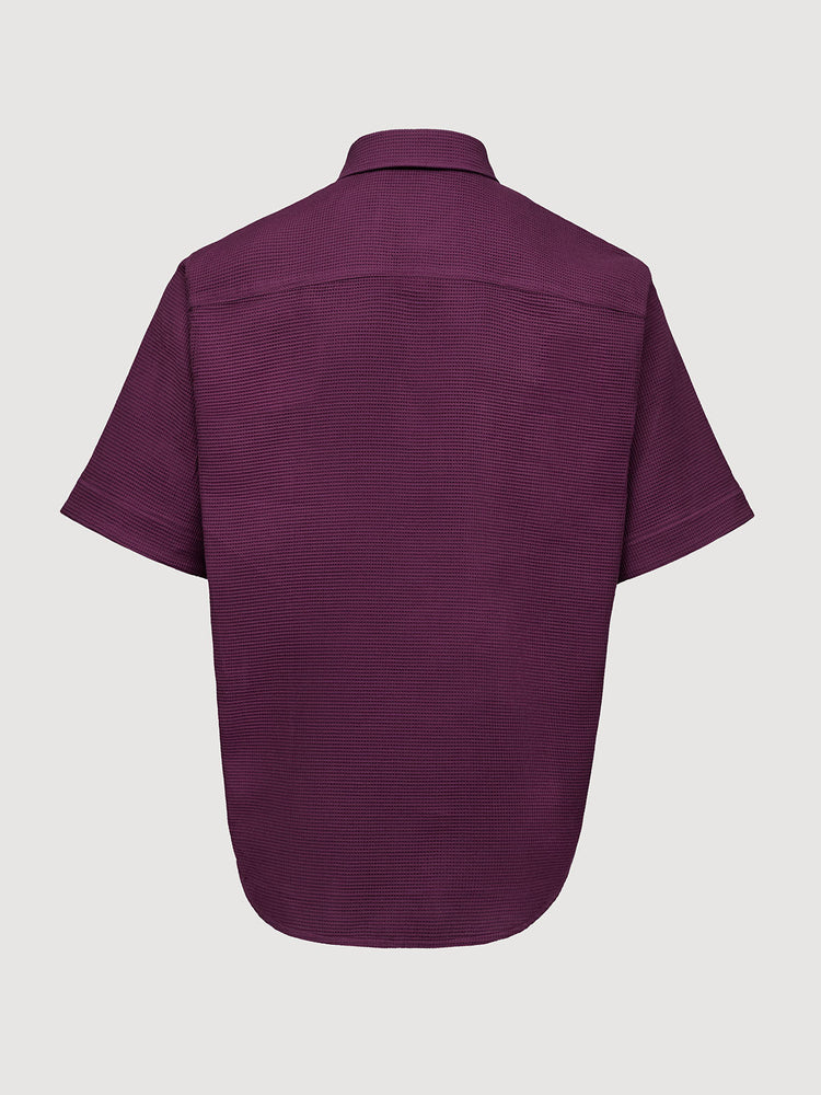 Italian Plum