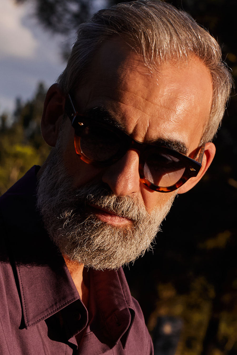 Roy Sunglasses