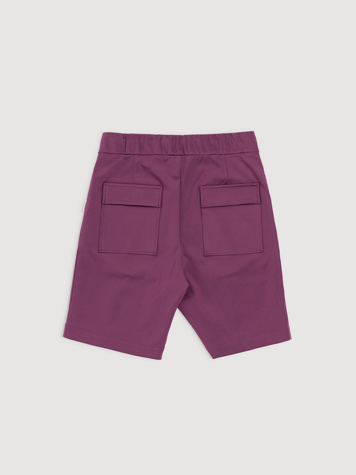 Italian Plum